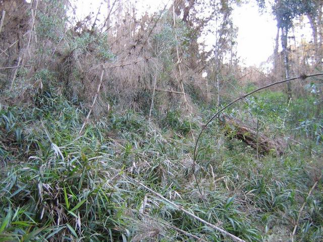 General view of the confluence looking West.