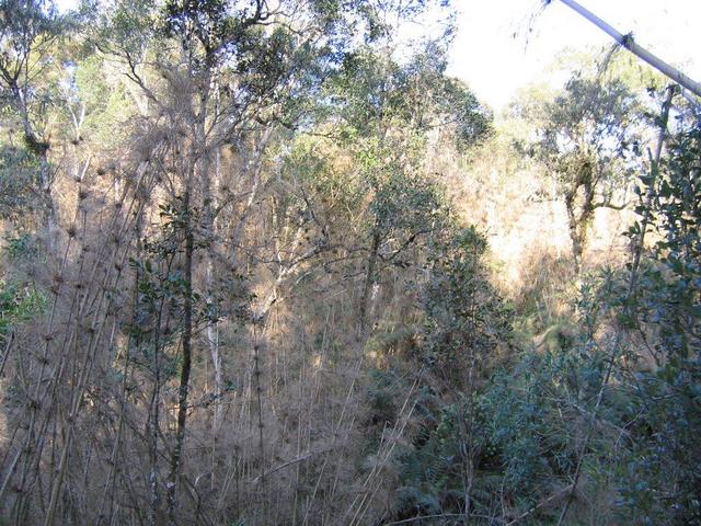 Looking East.