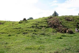 #1: North  view