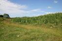 #2: East view
