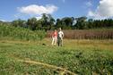 #3: South view