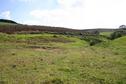 #4: West view