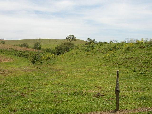 Looking North.