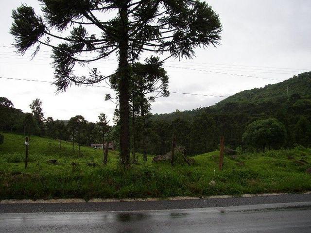 From 20 m of the confluence looking South.