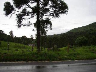 #1: From 20 m of the confluence looking South.