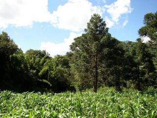 #1: General view of the confluence looking North.