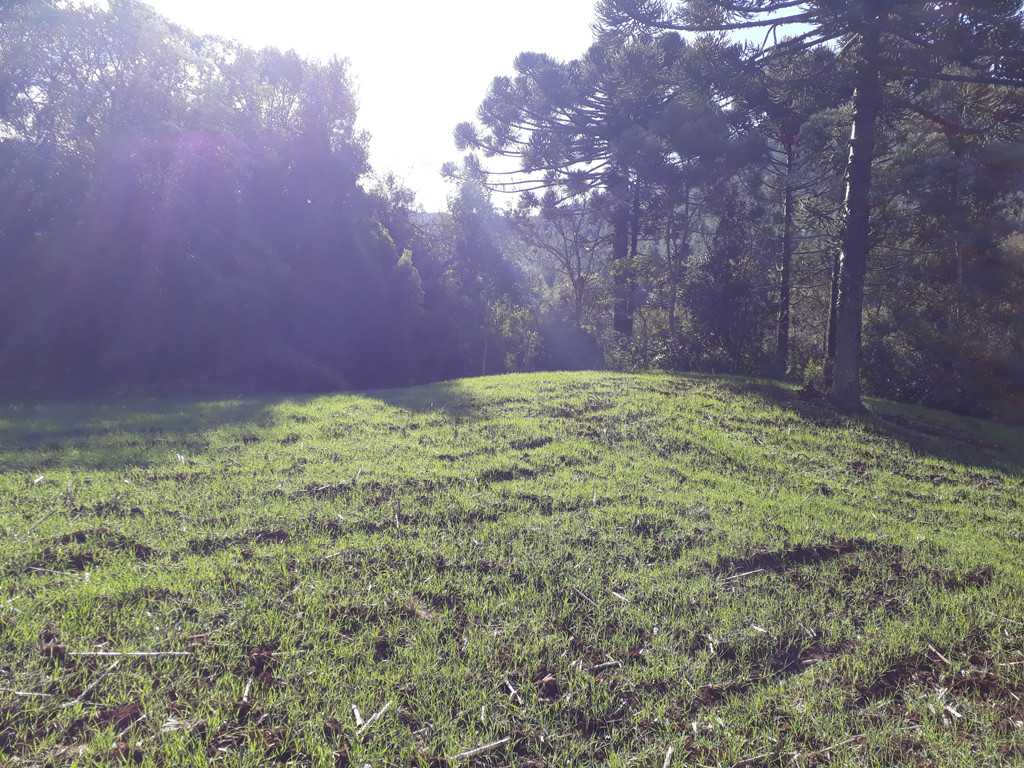 Visão geral - general view