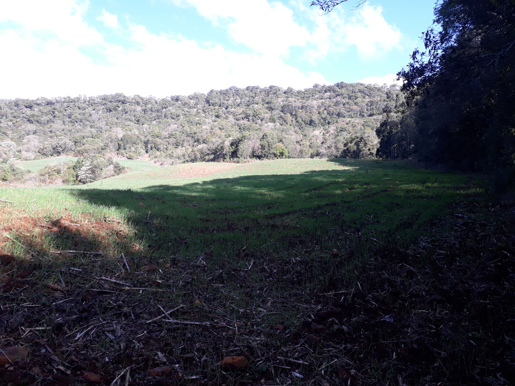 Visão sul - south view