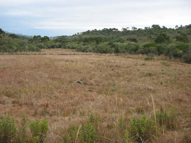 the rock is the accurate position of the confluence