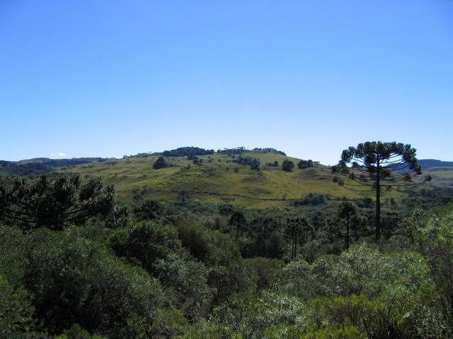 General view from about 800m looking North.