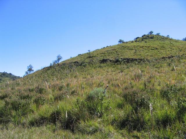 Looking North from about 50m.