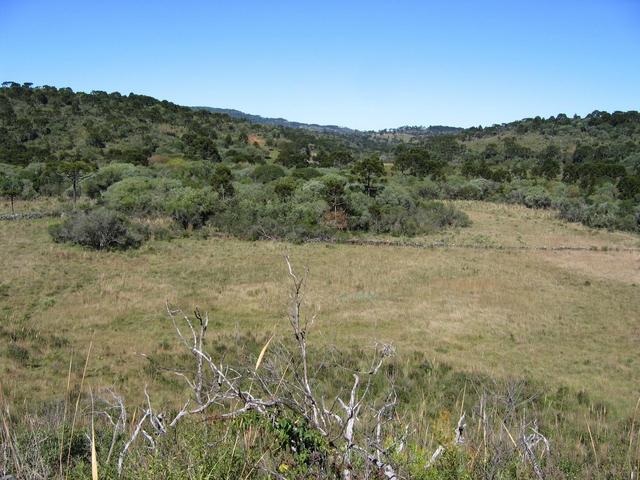 Looking South.