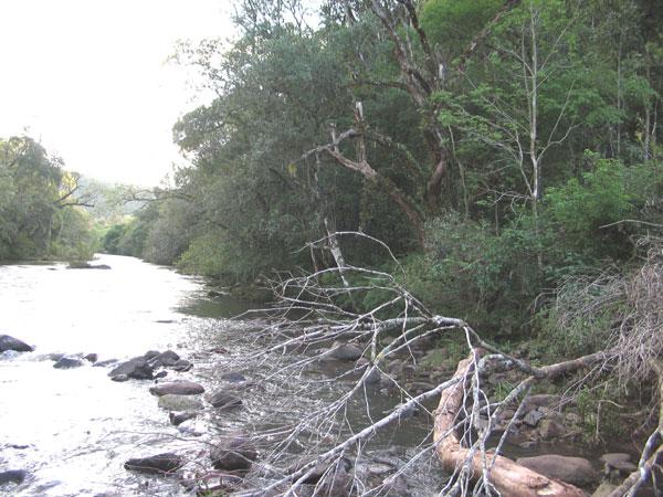 Foto tirada olhando para o lado oeste da confluência.