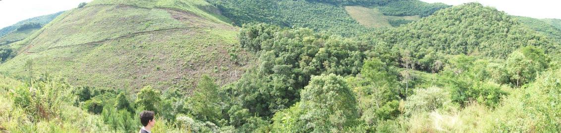 General view about 130m SSW of the confluence in north direction