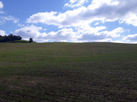 #1: Visão geral - general view