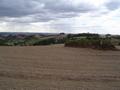 #2: North view