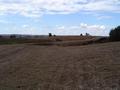 #4: East view