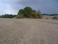 #5: West view