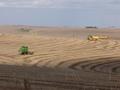 #8: Combines harvesting soya beans near the CP