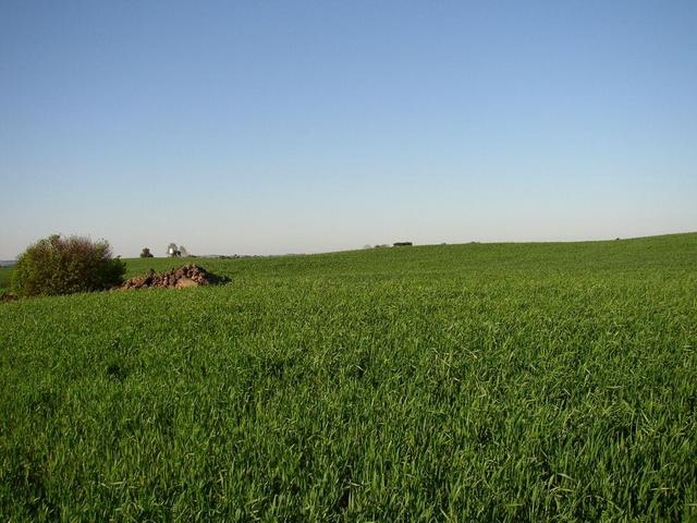 Looking East.