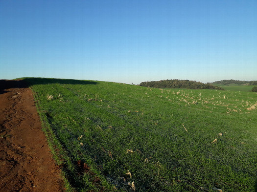 #1: Visão geral - general view