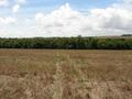 #5: General view.