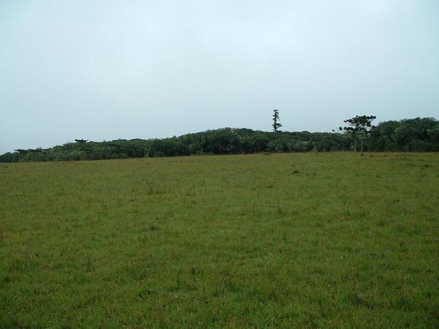 North view