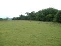 #5: South view