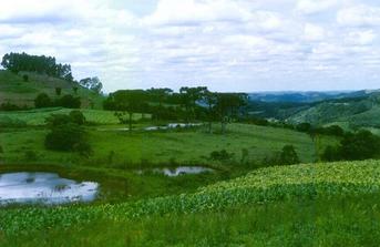 #1: Near 22S 52W confluence