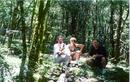 #4: North of 22S52W