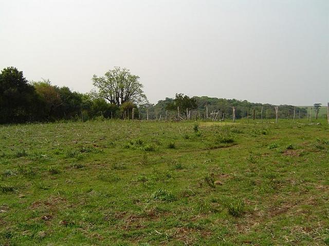 Vista para o Norte