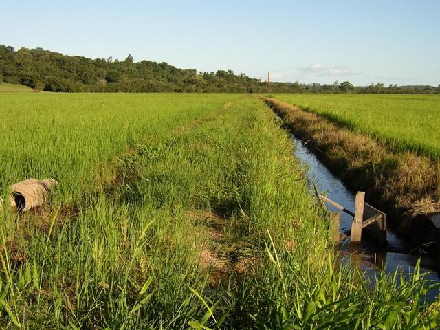 General view of the confluence.