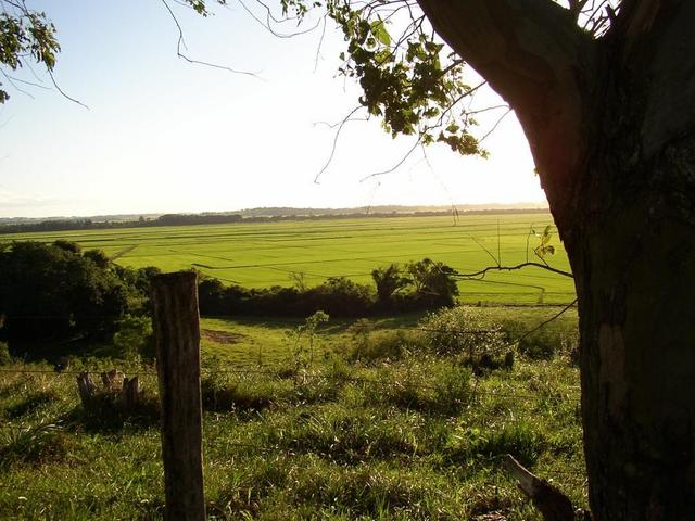 General view from Mr. Valmir's backyard.