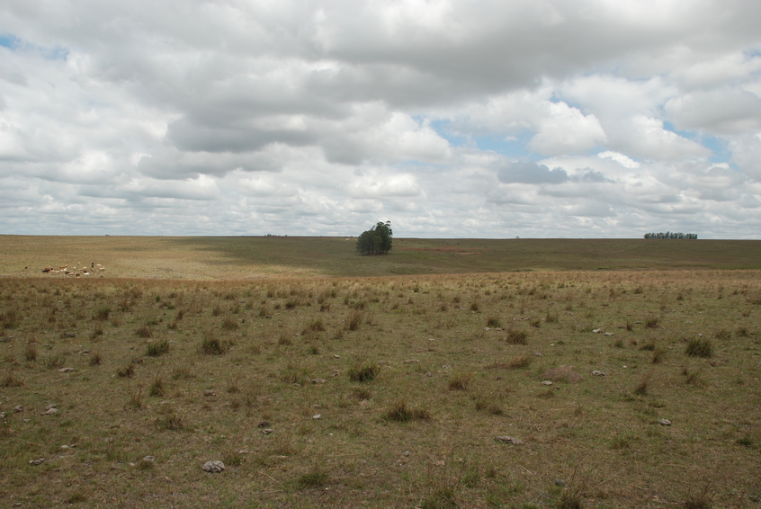 general view of the confluence