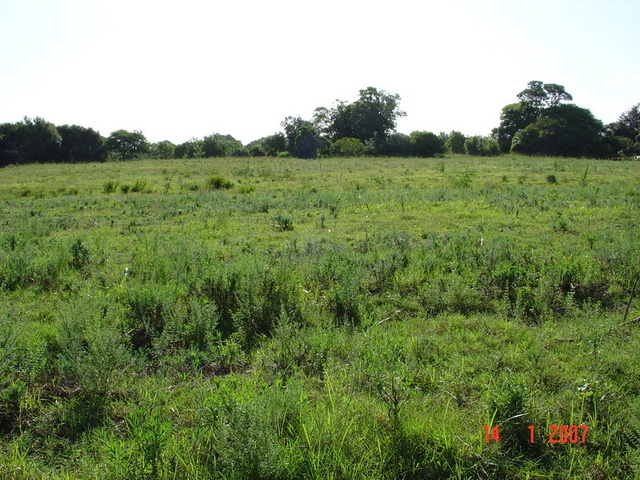 Looking west from the confluence