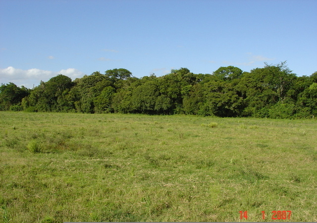 General view of the place (confluence is just before the forest)