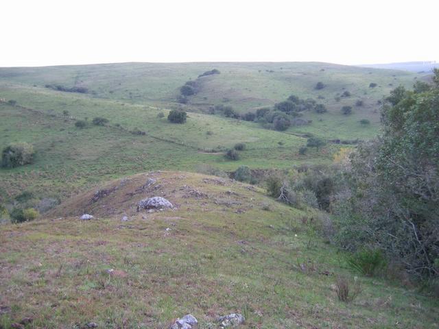 Looking West.