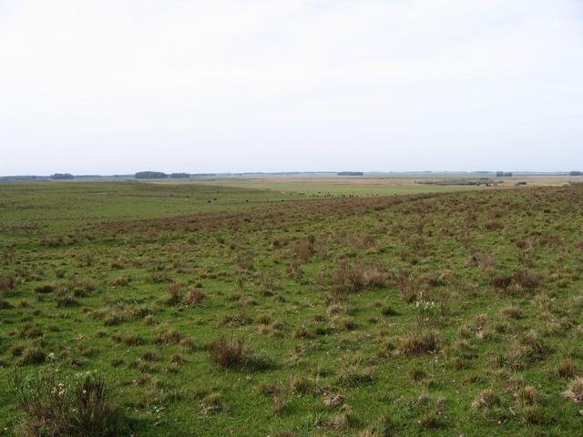 Looking East.