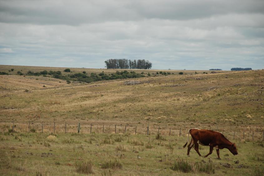 view of the confluence