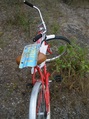 #8: Mode of transport, with a Bahamian license plate that I found near the confluence