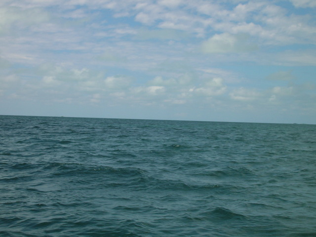 Looking east to the Pawpaw Cays