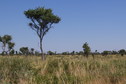 #3: View West