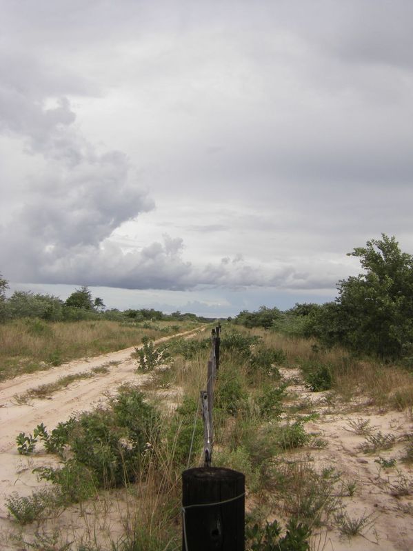 The border fence and general area (Confluence lying about 100 m to the left)