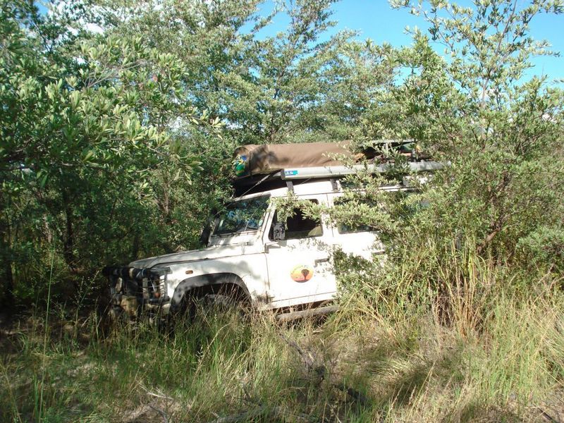 No further progress due to overgrown tracks