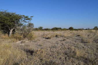 #1: View South