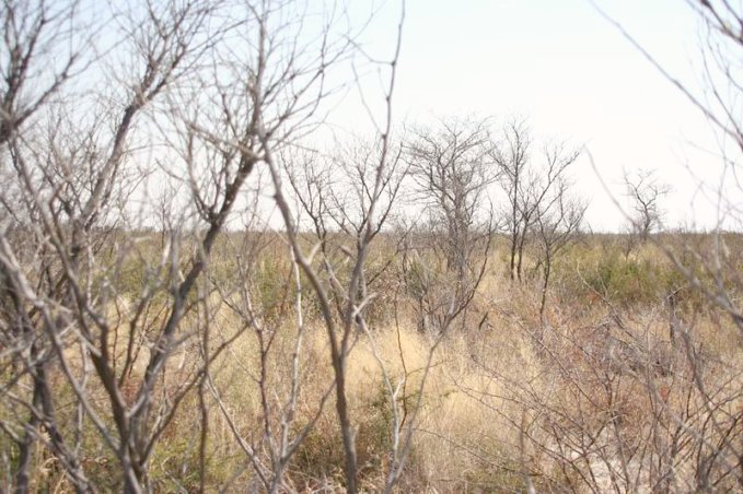 View to the North from Confluence