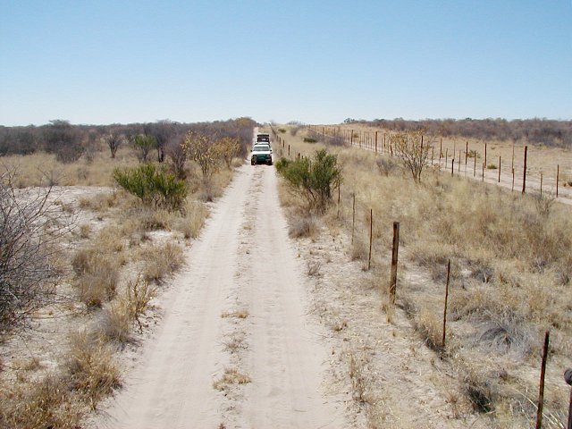 Road and fence