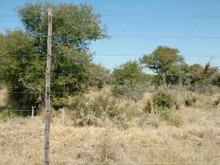 #1: Looking south from Confluence