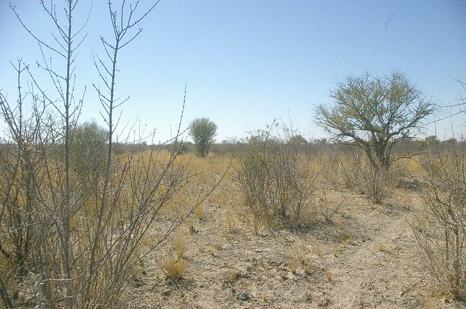 East View from Confluence