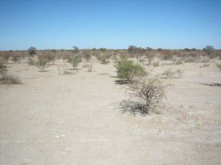 #1: General view of Confluence